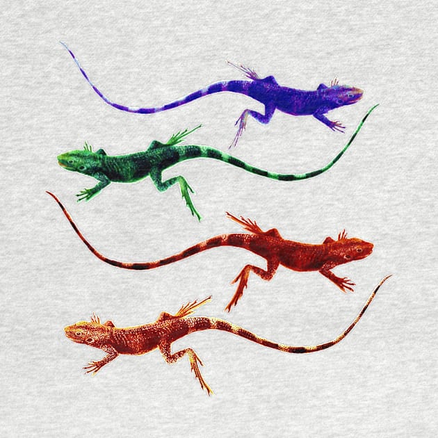 Lizard Rainbow by Amanda1775